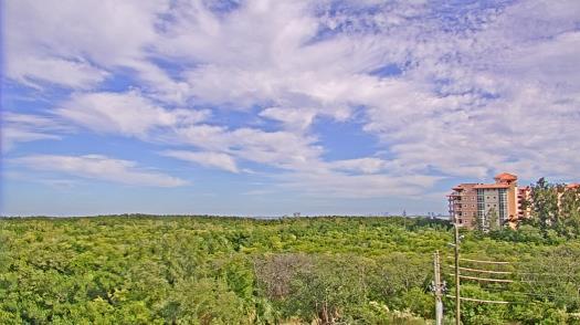 Weather camera view of WTSP-TV.