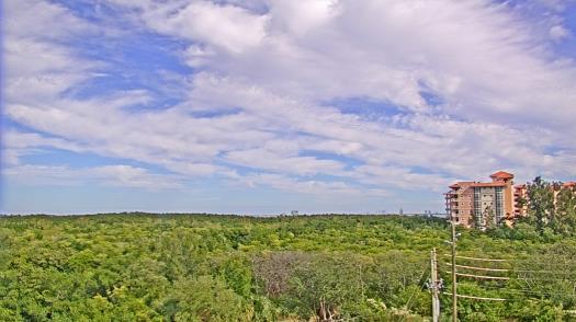 Weather camera view of WTSP-TV.