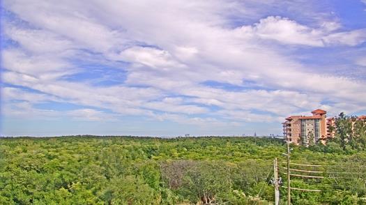 Weather camera view of WTSP-TV.