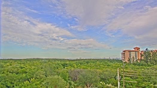 Weather camera view of WTSP-TV.