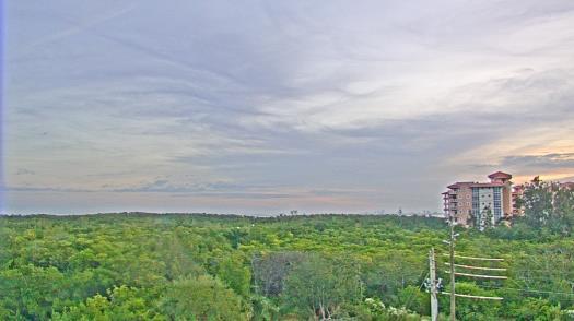 Weather camera view of WTSP-TV.