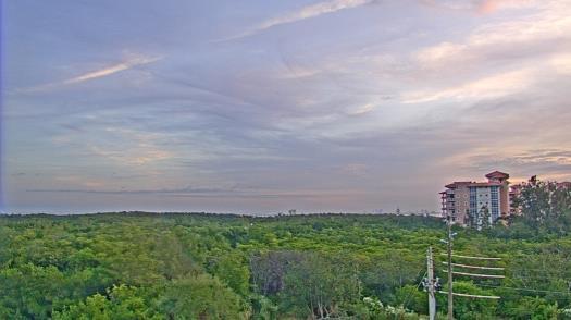 Weather camera view of WTSP-TV.