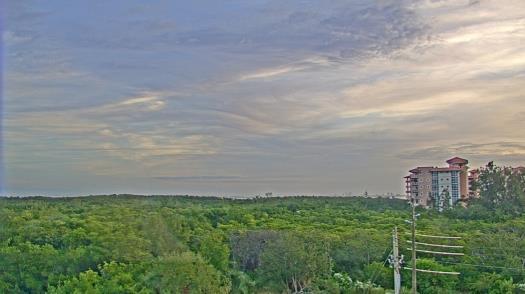 Weather camera view of WTSP-TV.