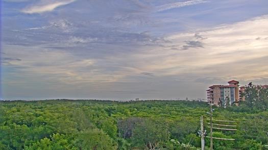 Weather camera view of WTSP-TV.