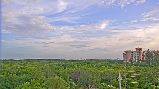 Weather camera view of WTSP-TV.