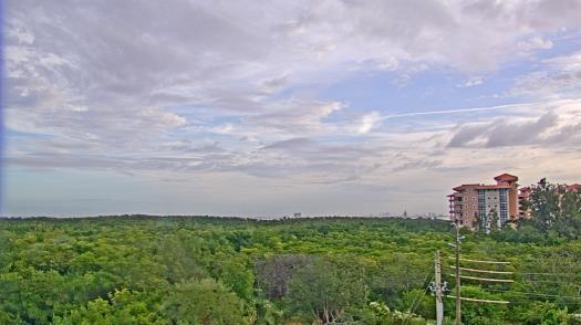 Weather camera view of WTSP-TV.