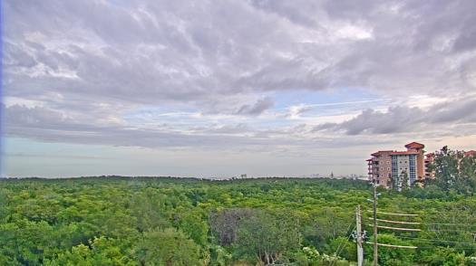 Weather camera view of WTSP-TV.