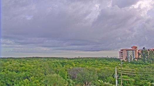 Weather camera view of WTSP-TV.