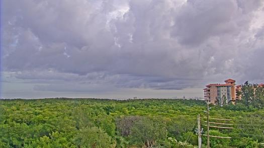 Weather camera view of WTSP-TV.