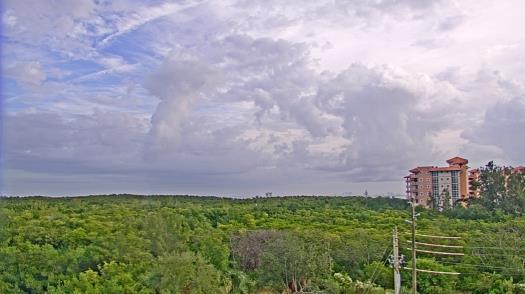 Weather camera view of WTSP-TV.