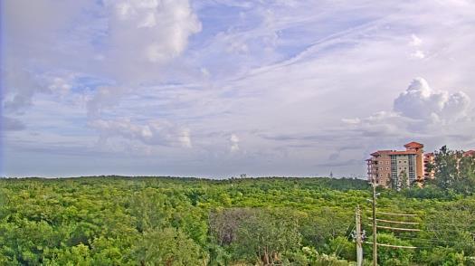 Weather camera view of WTSP-TV.