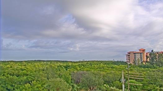 Weather camera view of WTSP-TV.