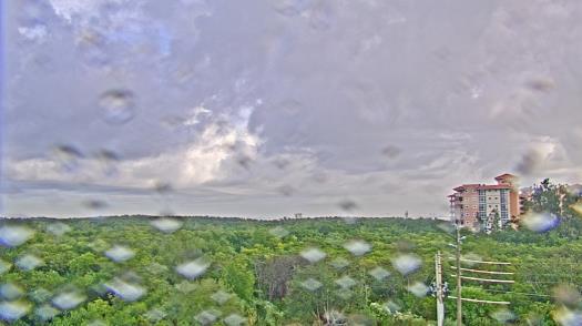 Weather camera view of WTSP-TV.