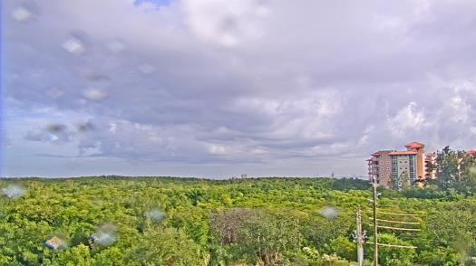 Weather camera view of WTSP-TV.