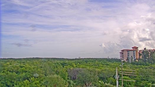 Weather camera view of WTSP-TV.