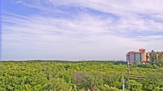 Weather camera view of WTSP-TV.