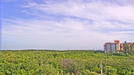 Weather camera view of WTSP-TV.