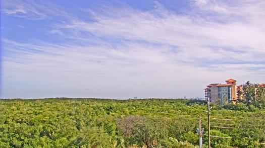 Weather camera view of WTSP-TV.