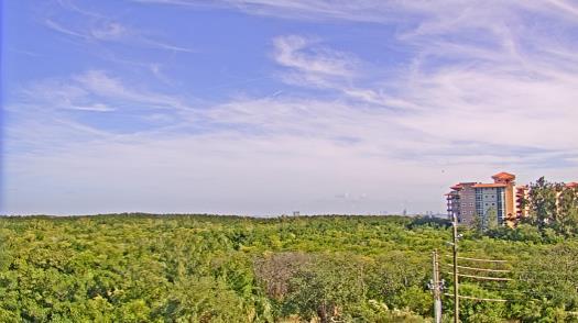 Weather camera view of WTSP-TV.