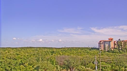 Weather camera view of WTSP-TV.