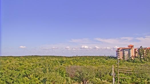 Weather camera view of WTSP-TV.