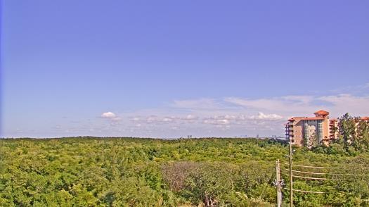 Weather camera view of WTSP-TV.