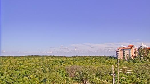 Weather camera view of WTSP-TV.