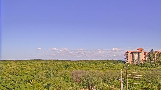 Weather camera view of WTSP-TV.