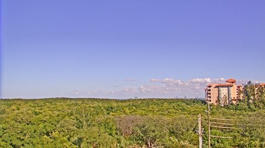 Weather camera view of WTSP-TV.