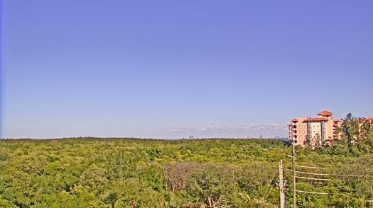 Weather camera view of WTSP-TV.