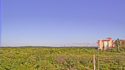 Weather camera view of WTSP-TV.