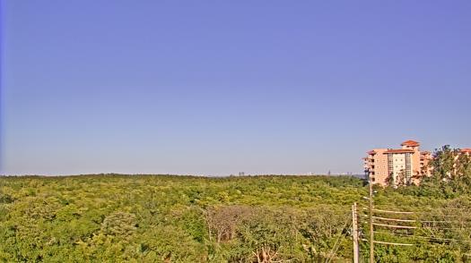 Weather camera view of WTSP-TV.