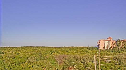 Weather camera view of WTSP-TV.