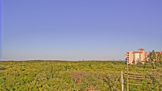 Weather camera view of WTSP-TV.