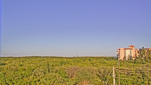 Weather camera view of WTSP-TV.