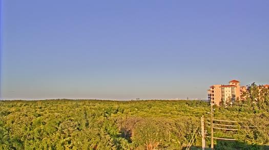 Weather camera view of WTSP-TV.