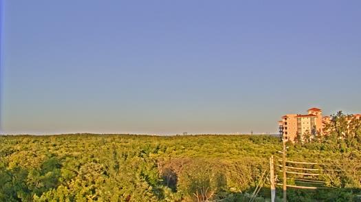 Weather camera view of WTSP-TV.