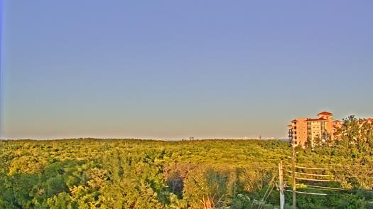 Weather camera view of WTSP-TV.