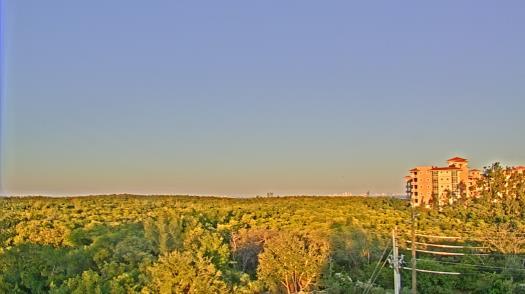 Weather camera view of WTSP-TV.