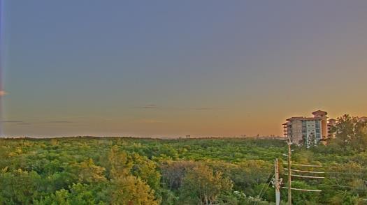 Weather camera view of WTSP-TV.