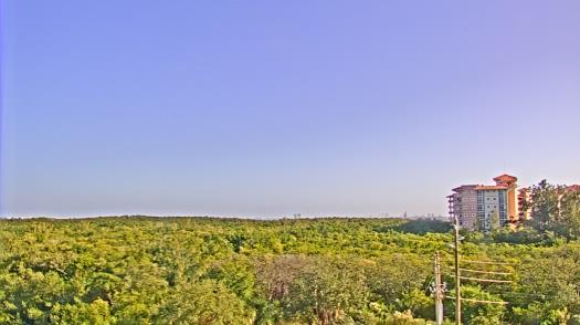 Weather camera view of WTSP-TV.