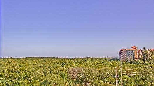 Weather camera view of WTSP-TV.