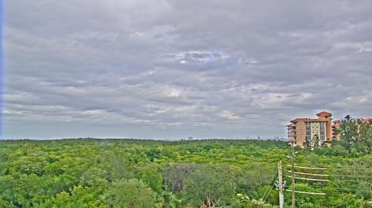 Weather camera view of WTSP-TV.