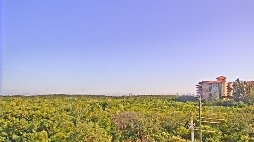 Weather camera view of WTSP-TV.