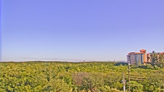 Weather camera view of WTSP-TV.