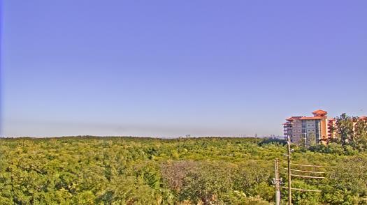 Weather camera view of WTSP-TV.