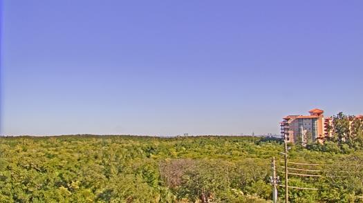 Weather camera view of WTSP-TV.