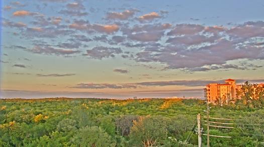 Weather camera view of WTSP-TV.
