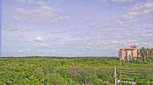 Weather camera view of WTSP-TV.