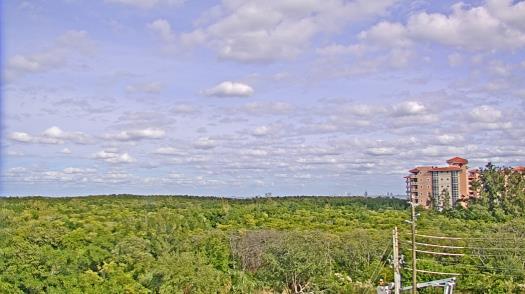 Weather camera view of WTSP-TV.